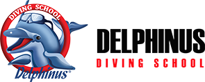 Welcome to Delphinus Diving School