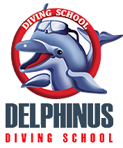 Welcome to Delphinus Diving School