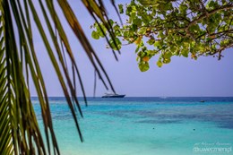 maldives dive trip 2016_6